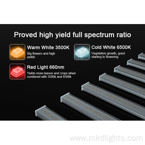 2020 Top Plant Grow Lights Fow Winter